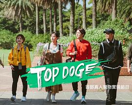 网红爆料吃瓜网站《TOP DOG》免费在线观看